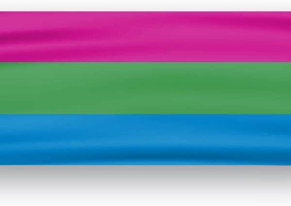 AGAS Flags 3" x 10" Polysexual Pride Window Decal 6 Stripes