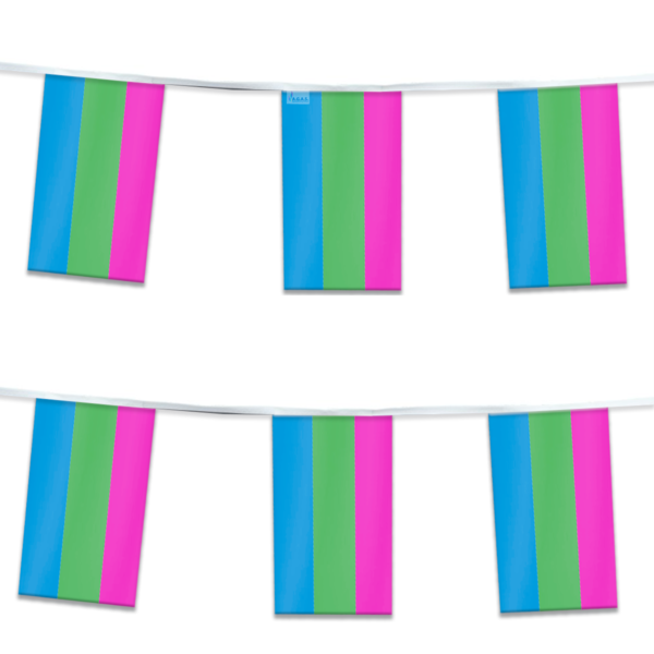 AGAS Flags 60 ' Rectangle Polysexual Streamer 6 Stripes