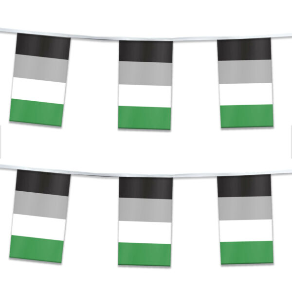AGAS Flags 60 ' Rectangle Androphilia Streamer 6 Stripes
