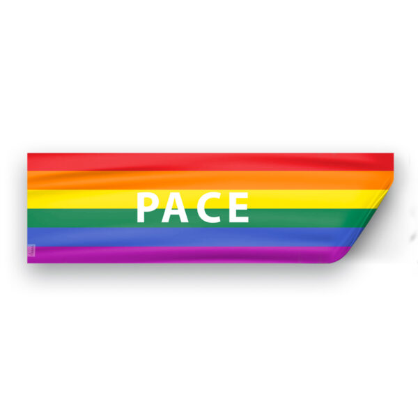 AGAS Rainbow Pace Letter Flag 3x10 inch Static Window Cling