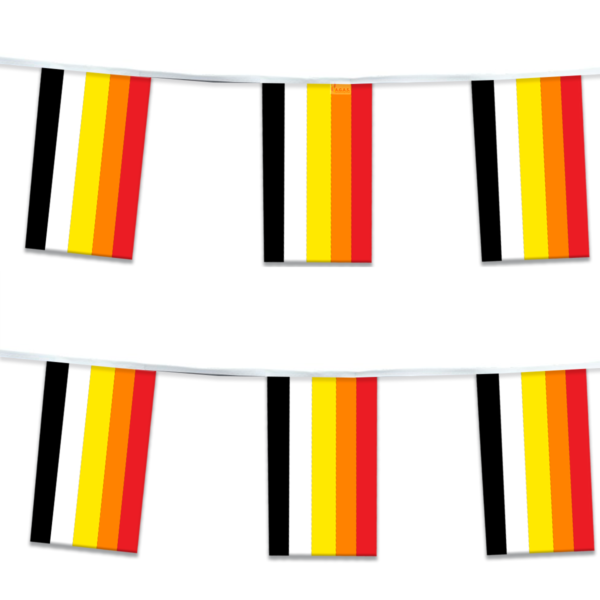 AGAS Lithsexual Pride Streamers for Party 60 Ft long