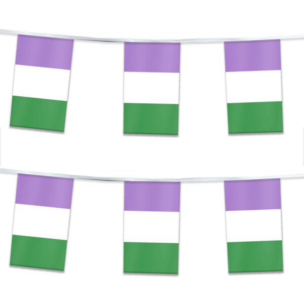 AGAS Genderqueer Pride Streamers for Party 60 Ft long