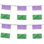 AGAS Genderqueer Pride Streamers for Party 60 Ft long