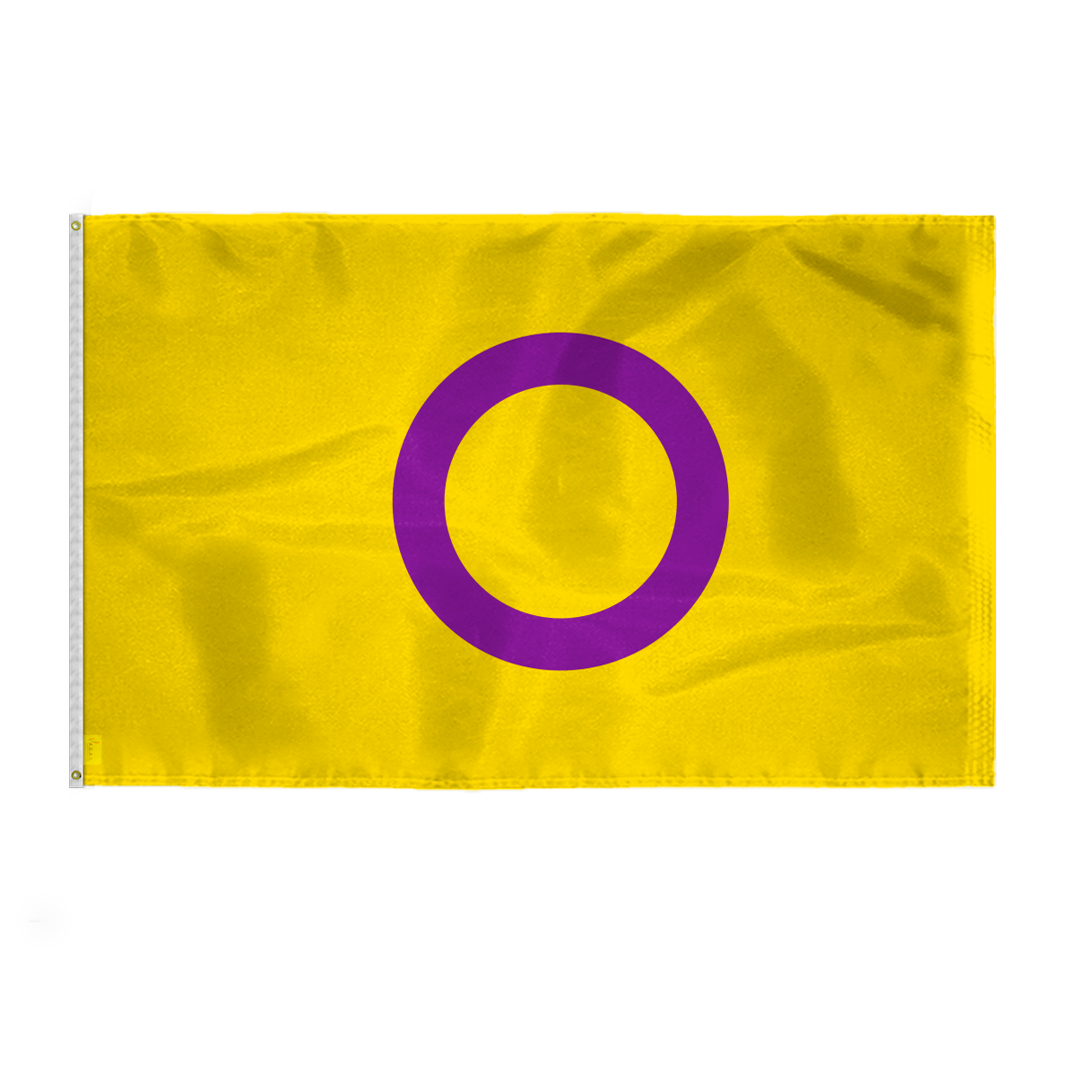 AGAS Large Intersex Pride Flag 6x10 Ft - Printed 200D Nylon