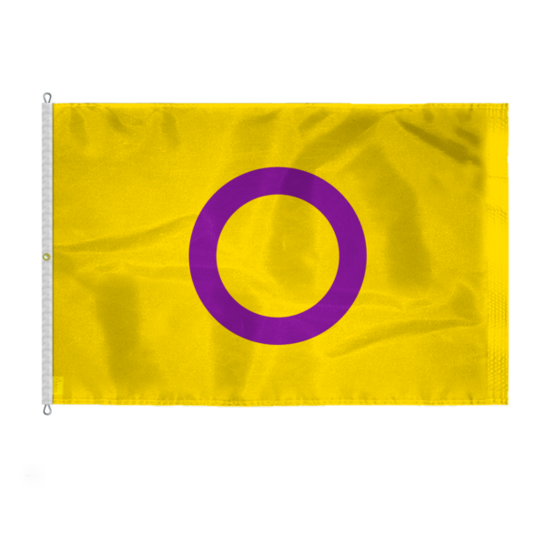 AGAS Large Intersex Flag 10x15 Ft - Printed 200D Nylon