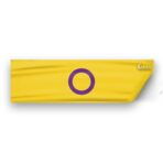 AGAS Intersex Flag 3x10 inch Static Window Cling -Vinyl Material