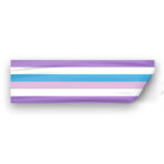 AGAS Bigender Pride Flag Static Cling Decal 6 Stripes - 3x10 inch