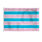 AGAS Large Transsexual Pride Flag 8x12 Ft