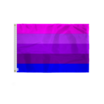 AGAS Small Transexual Alt Pride Flag 2x3 Ft