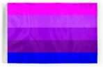 AGAS Transexual Alt Pride Motorcycle Flag 6x9 inch