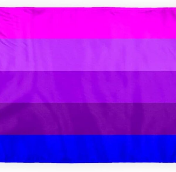 AGAS Transexual Alt Pride Motorcycle Flag 6x9 inch