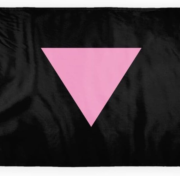 AGAS Pink Triangle Pride Motorcycle Flag 6x9 inch