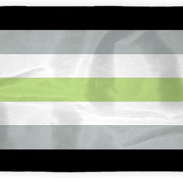 AGAS Agender Pride Flag 3x5 Ft - Double Sided Printed 200D Nylon