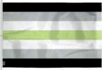 AGAS Large Agender Pride Flag 10x15 Ft