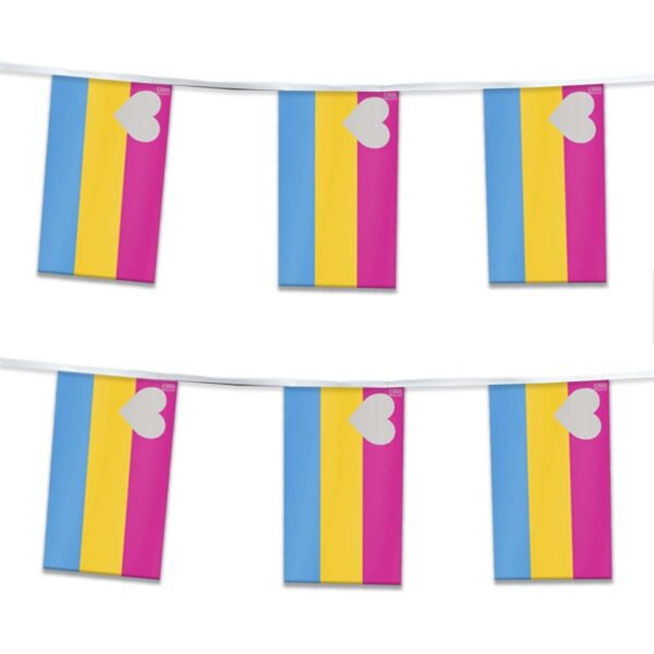 AGAS Flags 60 ' Rectangle Panromantic Streamer 6 Stripes