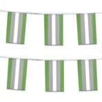AGAS Greyromantic Pride Streamers for Party 60 Ft long
