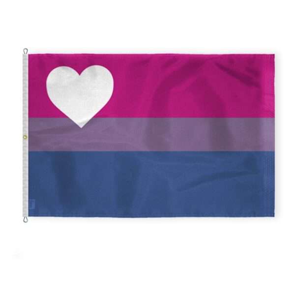 AGAS Large Biromantic Pride Flag 8x12 Ft