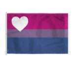 AGAS Large Biromantic Pride Flag 10x15 Ft
