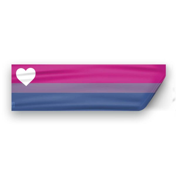 AGAS Biromantic Pride Flag Static Cling Decal 6 Stripes - 3x10 inch