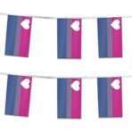 AGAS Biromantic Pride Streamers for Party 60 Ft long