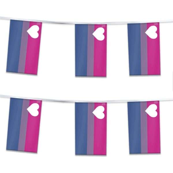 AGAS Biromantic Pride Streamers for Party 60 Ft long