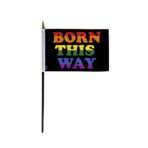 AGAS Small Born This Way Pride Flag 4x6 inch Flag on a 11 inch Plastic Stick