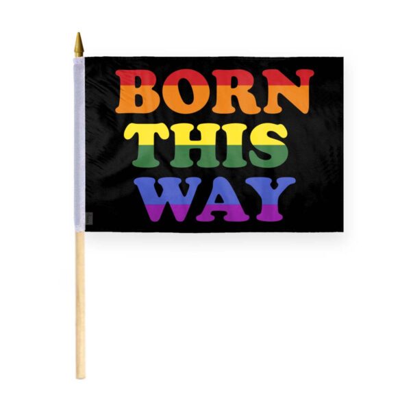 AGAS Born This Way Pride Stick Flag 12x18 inch Flag on a 24 inch Wooden Flag Stick