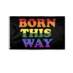 AGAS Born This Way Pride Flag 3x5 Ft - Polyester
