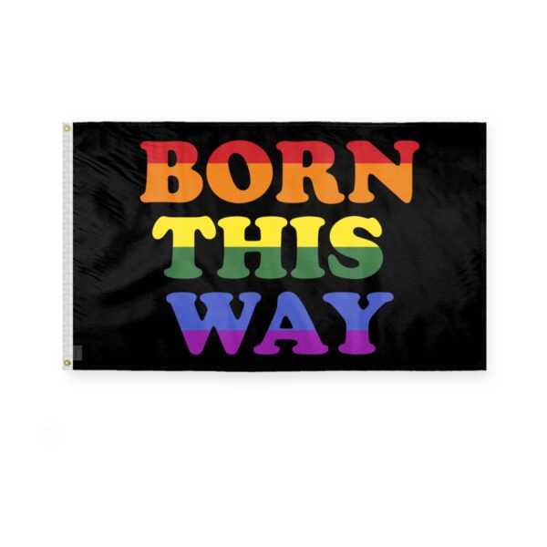 AGAS Born This Way Pride Flag 3x5 Ft - Polyester