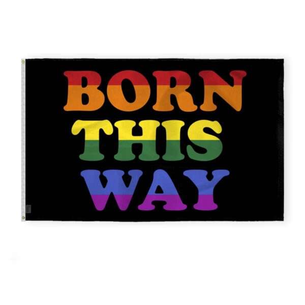 AGAS Born This Way Pride Flag 4x6 Ft - Printed 200D Nylon