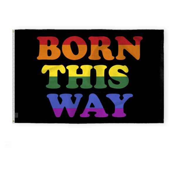 AGAS Large Born This Way Pride Flag 6x10 Ft - Printed 200D Nylon
