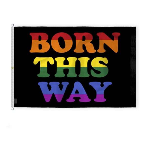 AGAS Large Born This Way Pride Flag 10x15 Ft