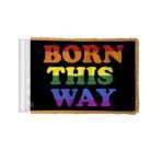 AGAS Born This Way Pride Antenna Aerial Flag For Cars with Gold Fringe 4x6 inch