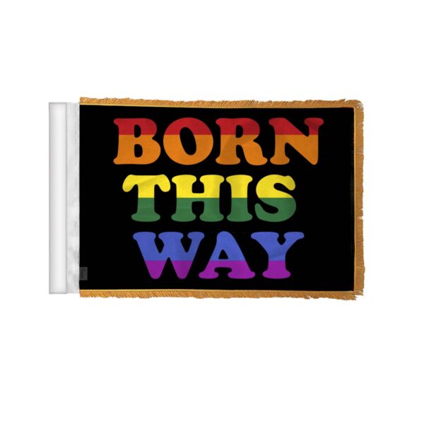 AGAS Born This Way Pride Antenna Aerial Flag For Cars with Gold Fringe 4x6 inch