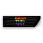 AGAS Born This Way Pride Flag 3x10 inch Static Window Cling
