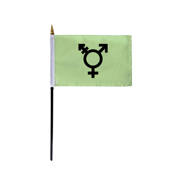 AGAS Small Israel Trans Pride Flag 4x6 inch Flag on a 11 inch Plastic Stick