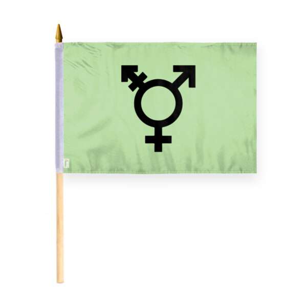 AGAS Israel Trans Stick Flag 12x18 inch Flag on a 24 inch Wooden Flag Stick