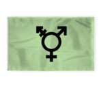 AGAS Large Israel Trans Flag 8x12 Ft - Printed 200D Nylon