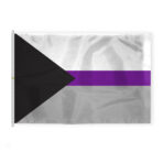 AGAS Large Demisexual Pride Flag 8x12 Ft