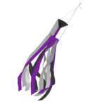 60x5.5 in Multicolor Demisexual Windsock