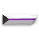 Demisexual Pride Window Decal 6 Stripes