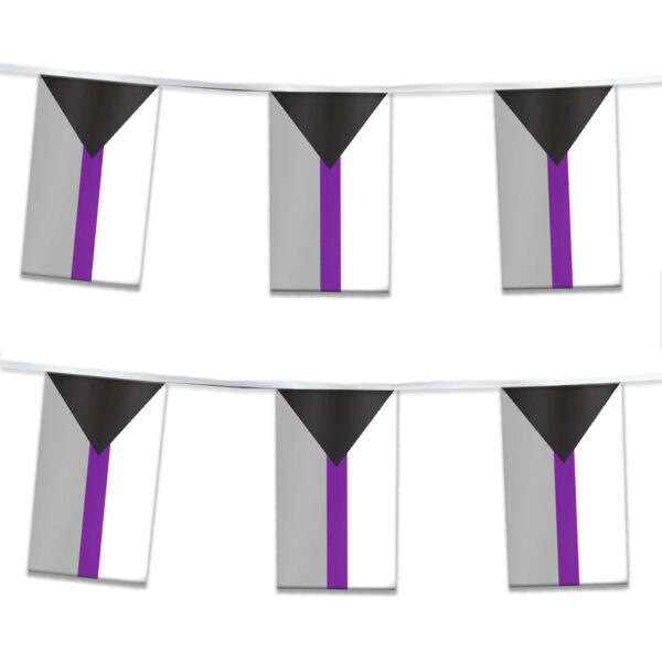 AGAS Flags 60 ' Rectangle Demisexual Streamer 6 Stripes