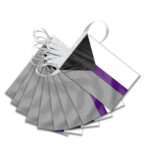 AGAS Mfg 60 ' Rectangle Demisexual Streamer 6 Stripes