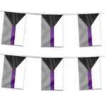 AGAS Mfg 60 ' Rectangle Demisexual Streamer 6 Stripes