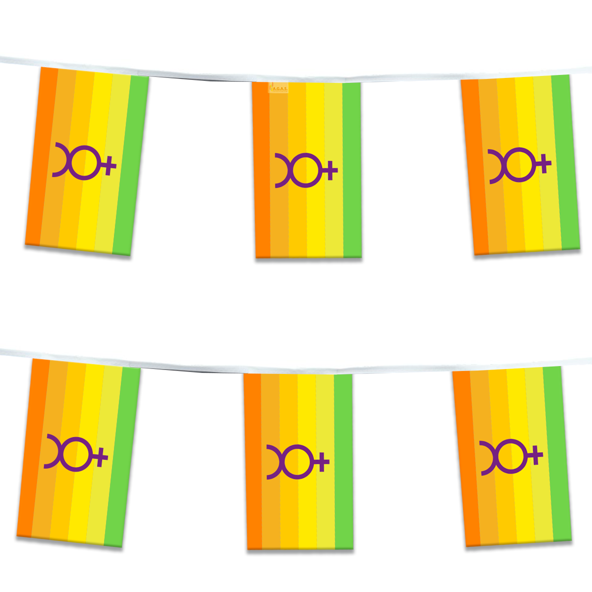 AGAS Hermaphrodite Pride Streamers for Party 60 Ft long