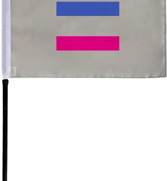 AGAS Small Androgynous Pride Flag 4x6 inch Flag on a 11 inch Plastic Stick