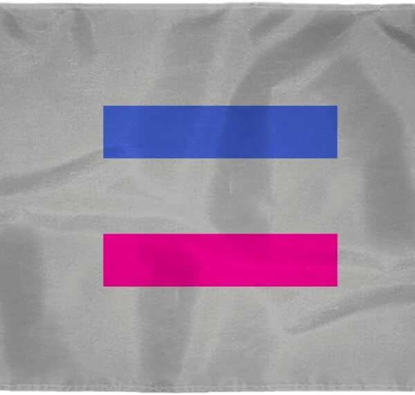 AGAS Small Androgynous Pride Flag 2x3 Ft