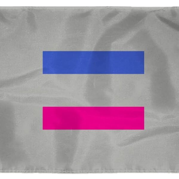 AGAS Large Androgynous Pride Flag 8x12 Ft