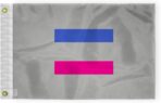 AGAS Large Androgynous Pride Flag 10x15 Ft