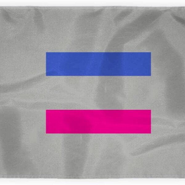 AGAS Large Androgynous Pride Flag 10x15 Ft